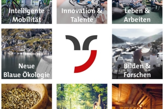 Themenfelder Marke graubünden
