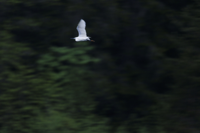 Mitmachen (© Marke graubünden, gaudenzdanuser.com) Mitmachen (© Marke graubünden, gaudenzdanuser.com)