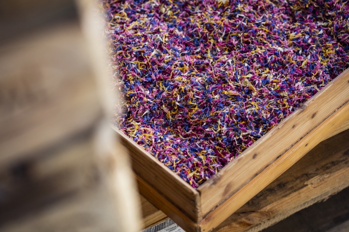 graubündenVIVA Onlineshop (© graubündenVIVA, gaudenzdanuser.com) graubündenVIVA Onlineshop