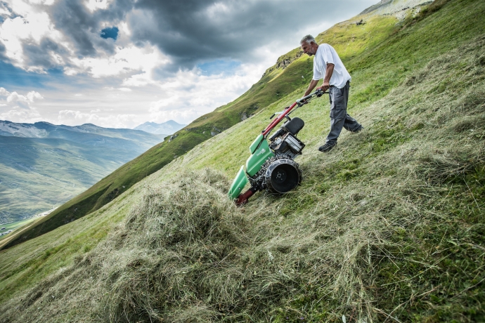 Natur (© Marke graubünden, gaudenzdanuser.com) Natur