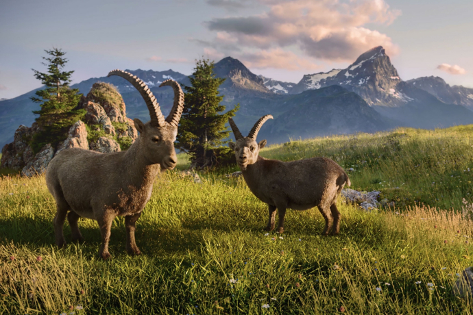 Gian und Giachen am Schaffa Gian und Giachen am Schaffa