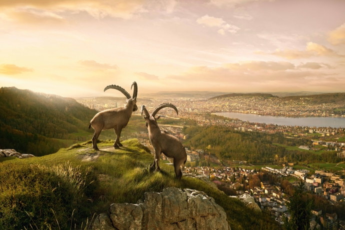 Gian und Giachen (© Marke graubünden/GRF) Gian und Giachen (© Marke graubünden/GRF)